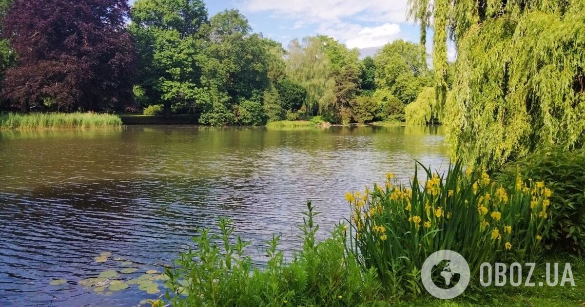 Погода влаштує два