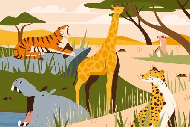 Найдите отличия на веселых картинках: головоломка