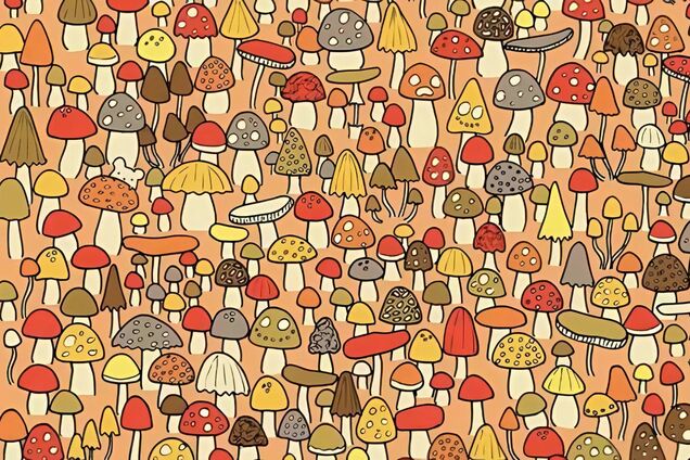 Найдите мышь: быстрая головоломка для внимательных