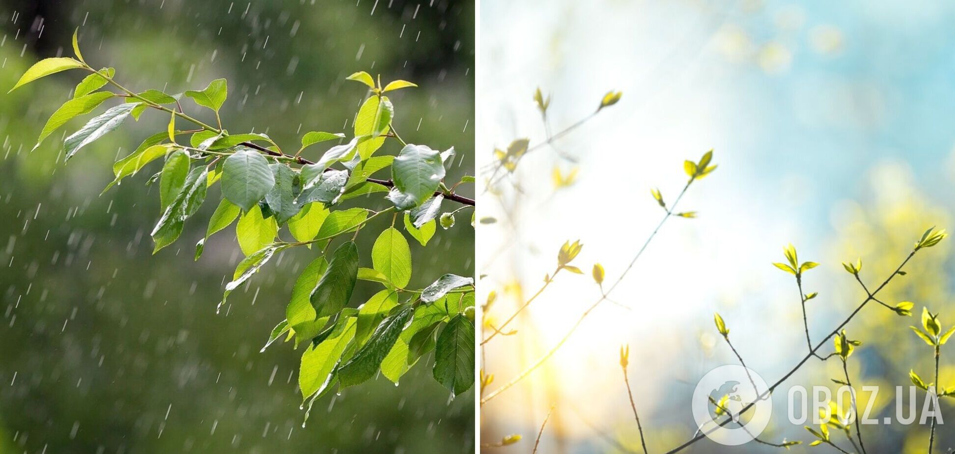 В нескольких областях Украины объявили штормовое предупреждение: где ожидается непогода 8 июня