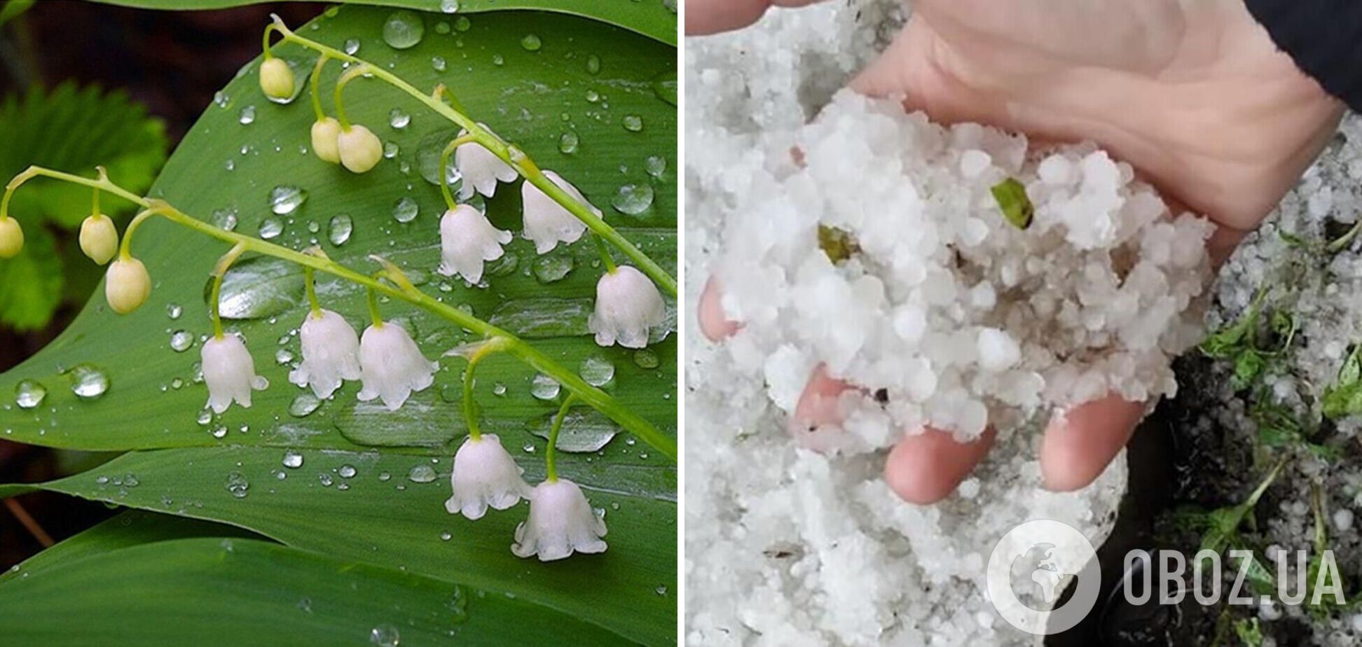 Заморозки, грози, а подекуди навіть град: чим здивує погода у суботу, 3 травня