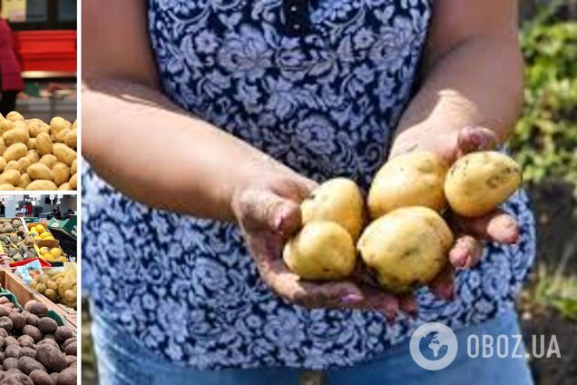 Грабят дачи и выносят картошку: Россия из-за дефицита овощей просит помощи у Китая и Монголии, а жители переходят на макароны