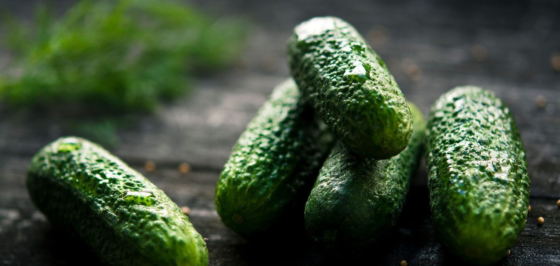 В Украине резко переписали цены на огурцы: сколько теперь стоит килограмм