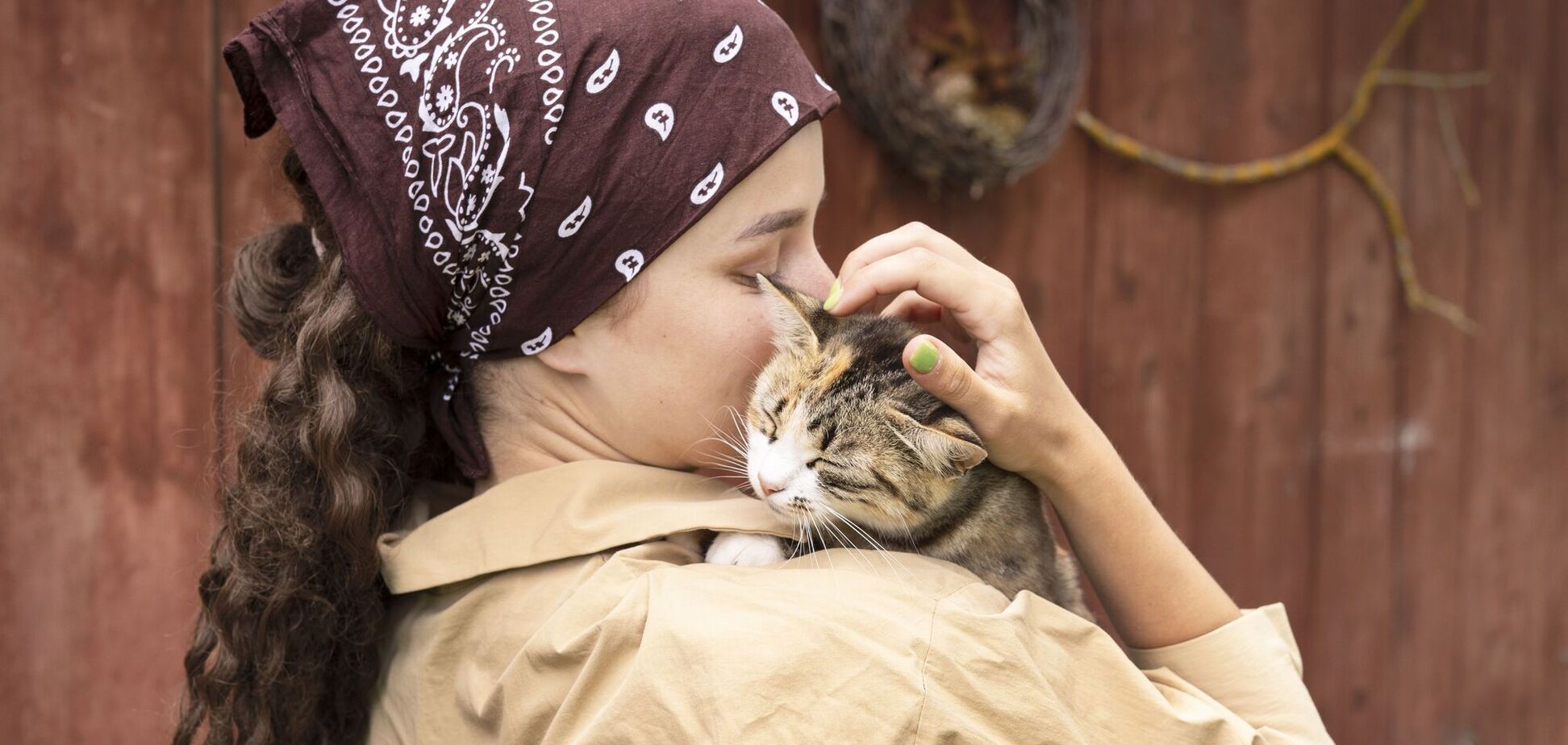 Как коты запоминают хозяина: научное объяснение