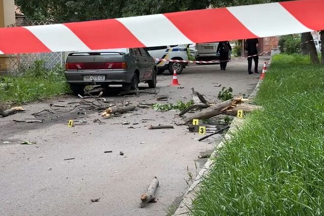 'Був страшний тріск': у Полтаві на 9-річного хлопчика впало дерево, медики розповіли про стан дитини. Фото і відео