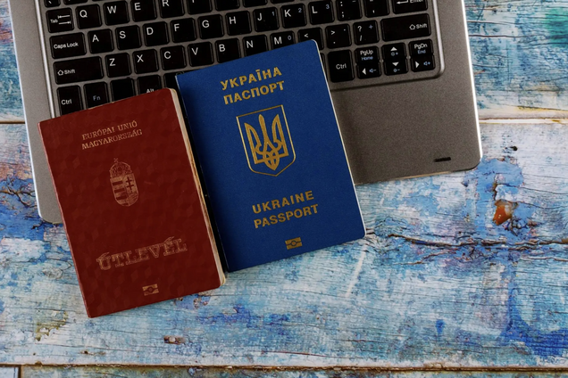 'Сохранение связи с украинцами по миру': в правительстве разъяснили, как будет работать закон о множественном гражданстве