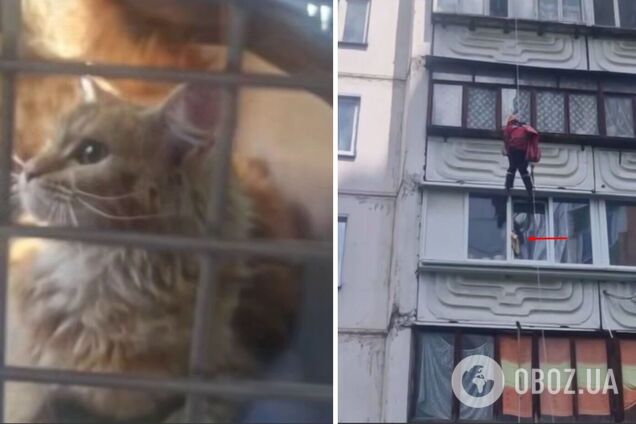 В Киеве спасатели помогли коту, который оказался в смертельной ловушке. Подробности и видео