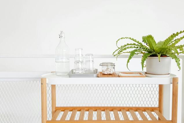 Топ-5 квітів, які покращать якість повітря у вашому домі та за якими легко доглядати