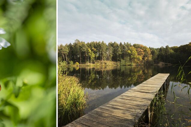 Дощів значно поменшає, але не всюди: синоптики сказали, якою буде погода протягом вихідних. Відео