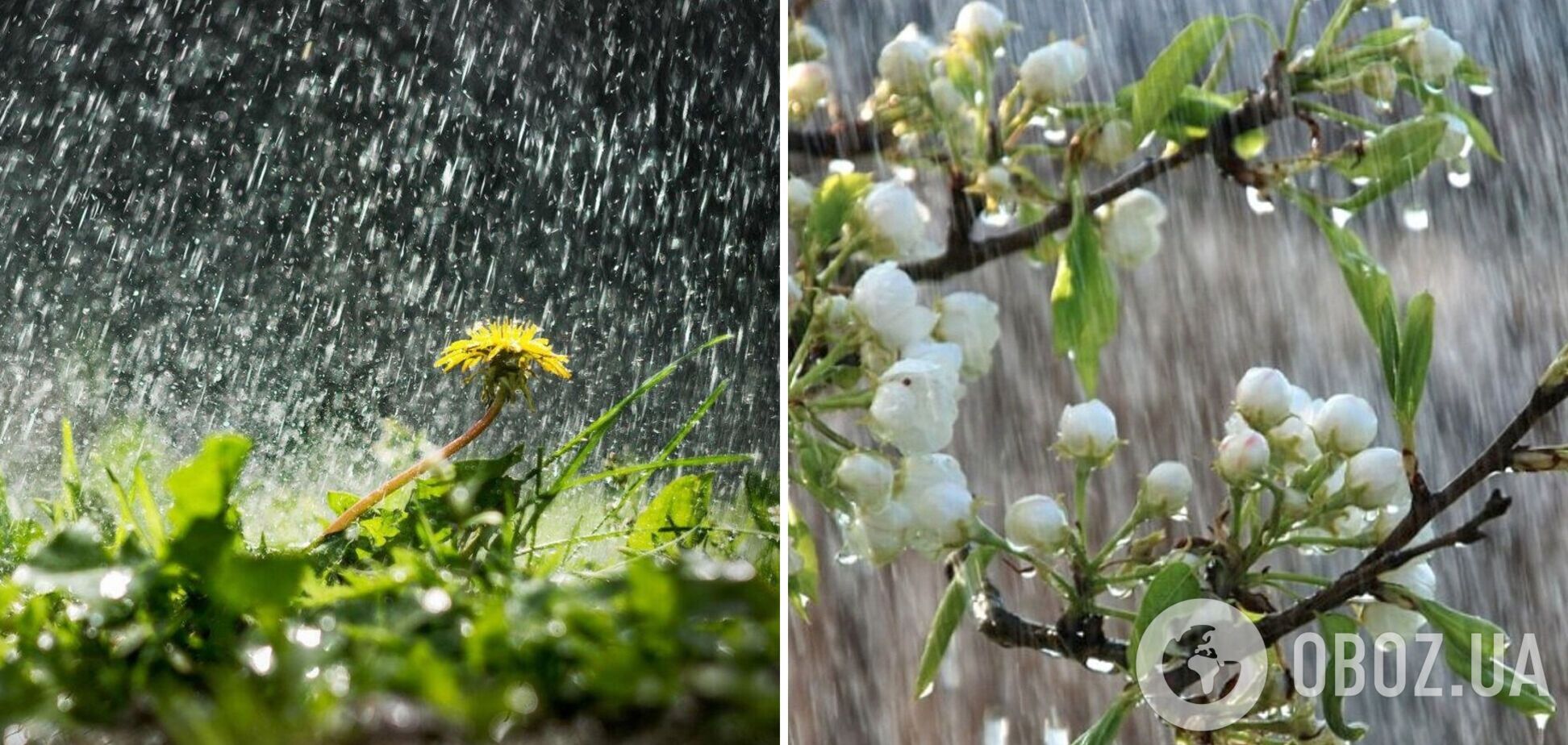 Грозы и сильный ветер: какие области Украины накроет ненастье в воскресенье, 4 мая