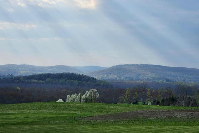Погода в Украине сегодня - прогноз погоды 5 мая.