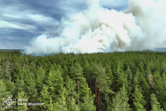 В Харьковской области из-за обстрелов начались лесные пожары: фото с места
