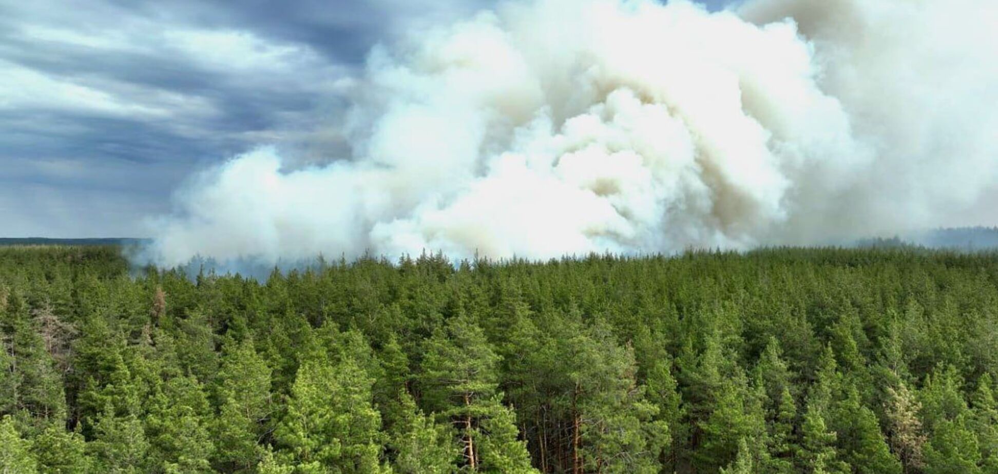 На Харківщині через обстріли почалися лісові пожежі: фото з місця