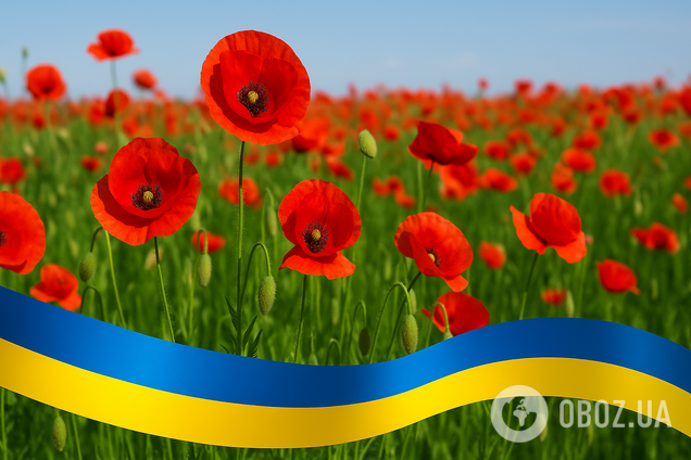 Що з 9 травня: чи відзначає Україна і як розвіялися радянські наративи