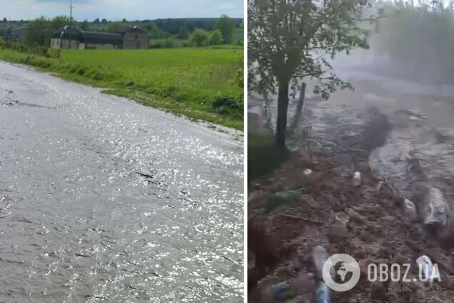 На Тернопільщині негода наробила біди: вулиці перетворилися на річки, загинула птиця. Фото й відео