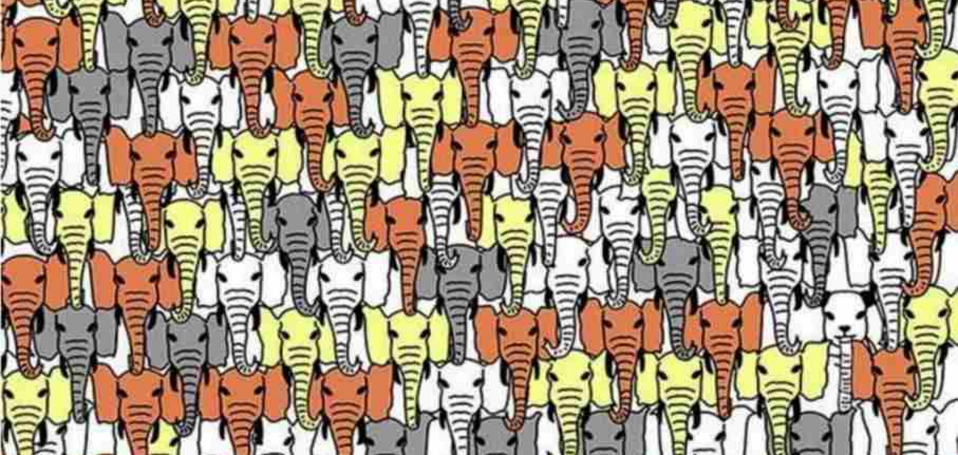 Швидко знайдіть панду: головоломка на уважність і спритність