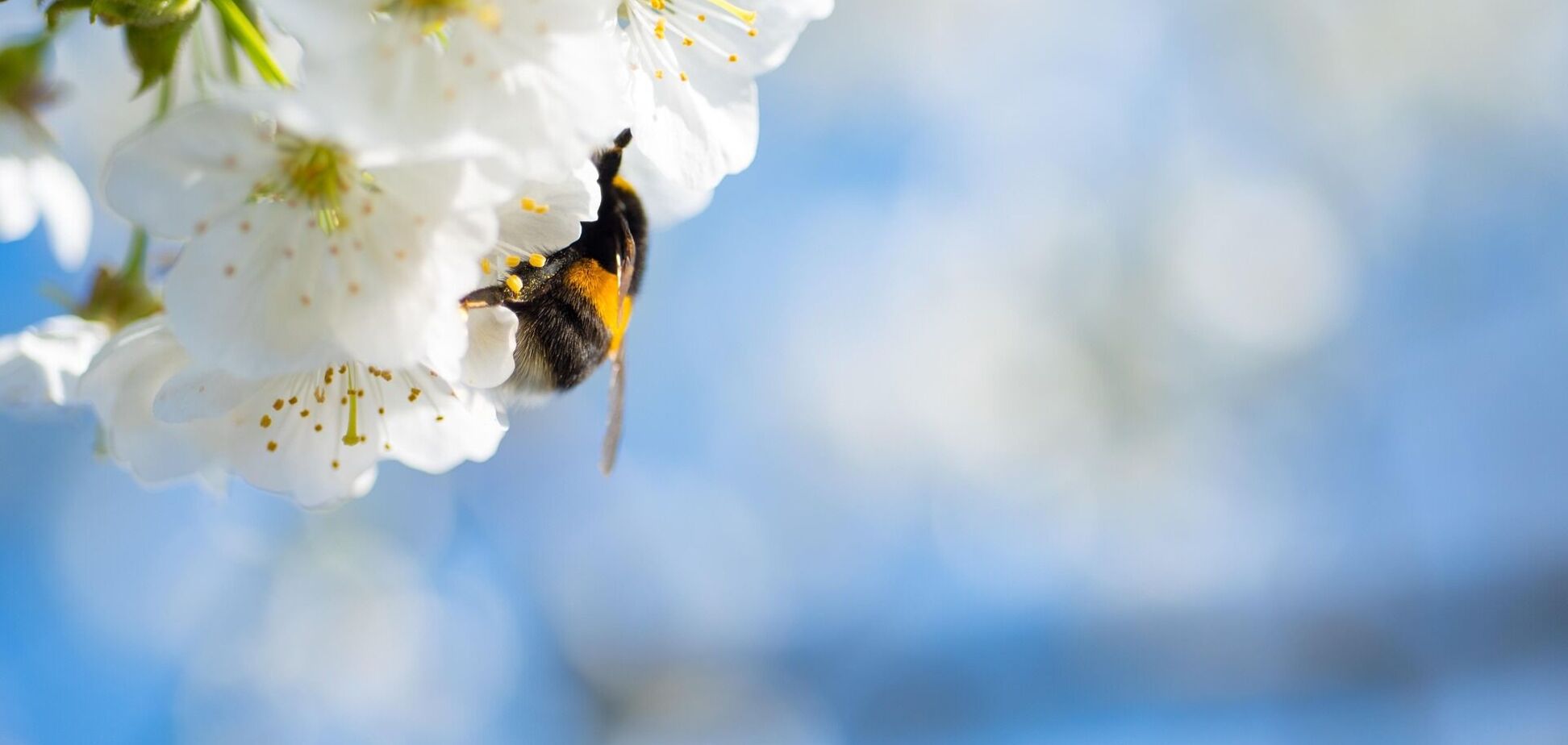 На Україну насувається антициклон Riccarda: як зміниться погода