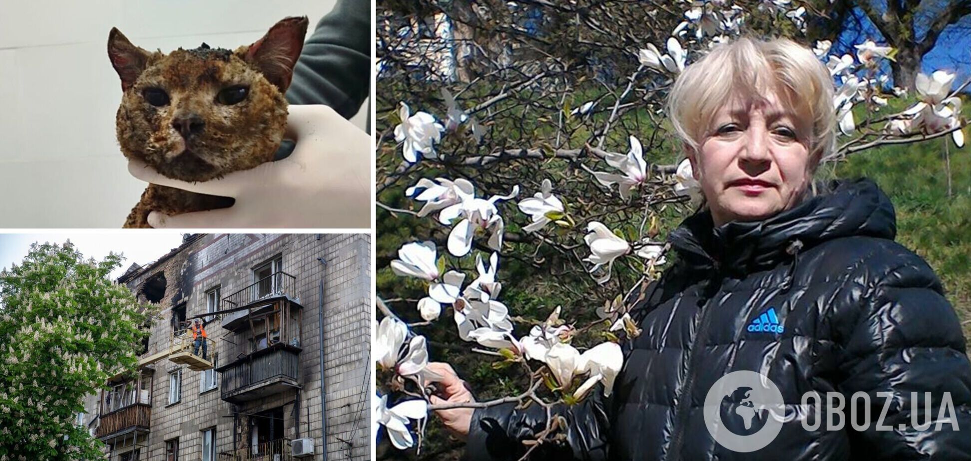 В Киеве российский дрон влетел в пятиэтажку и убил женщину зооволонтера и ее сына: вместе с ними погибли пять котов