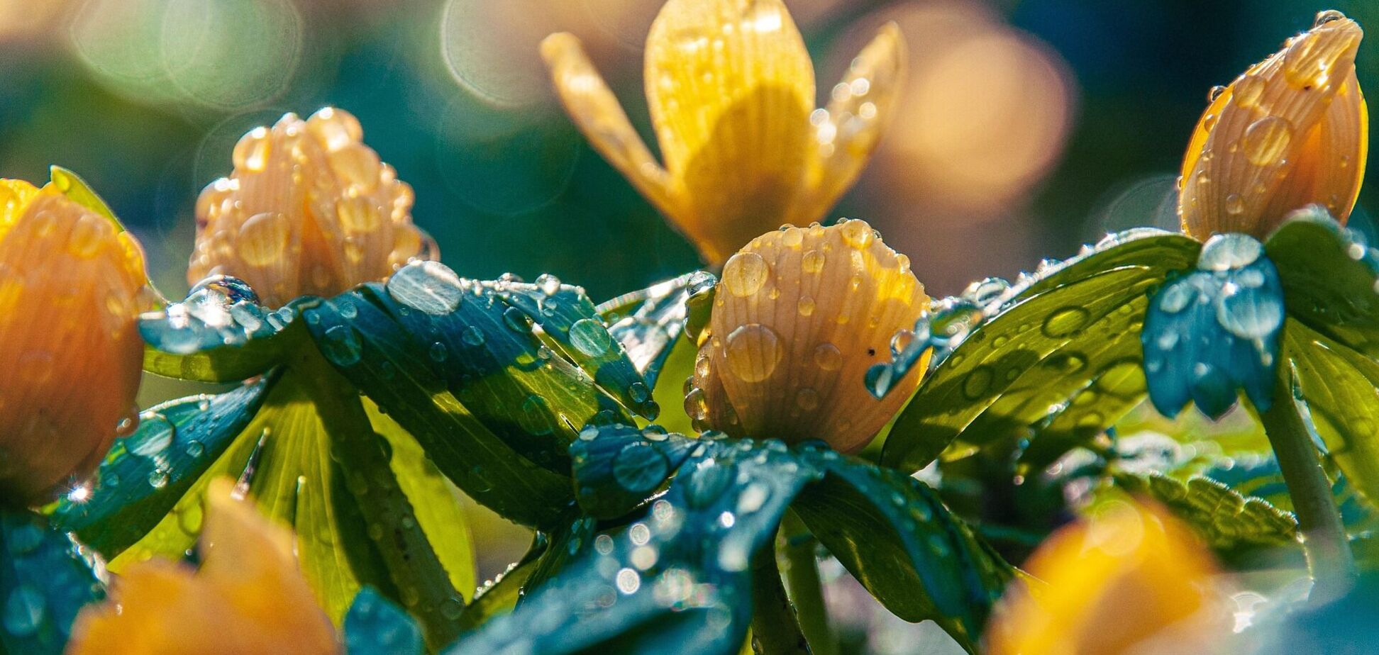 Синоптики дали прогноз погоди в Україні на неділю: чи припиняться дощі. Карта