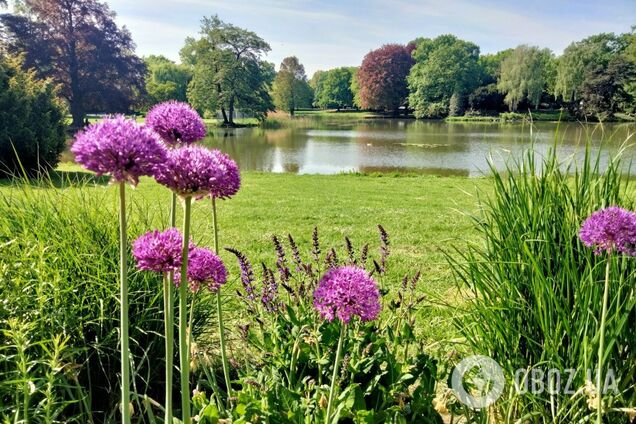 Синоптикиня назвала дату, коли в Україну ввірветься тепло до +25 градусів. Карта