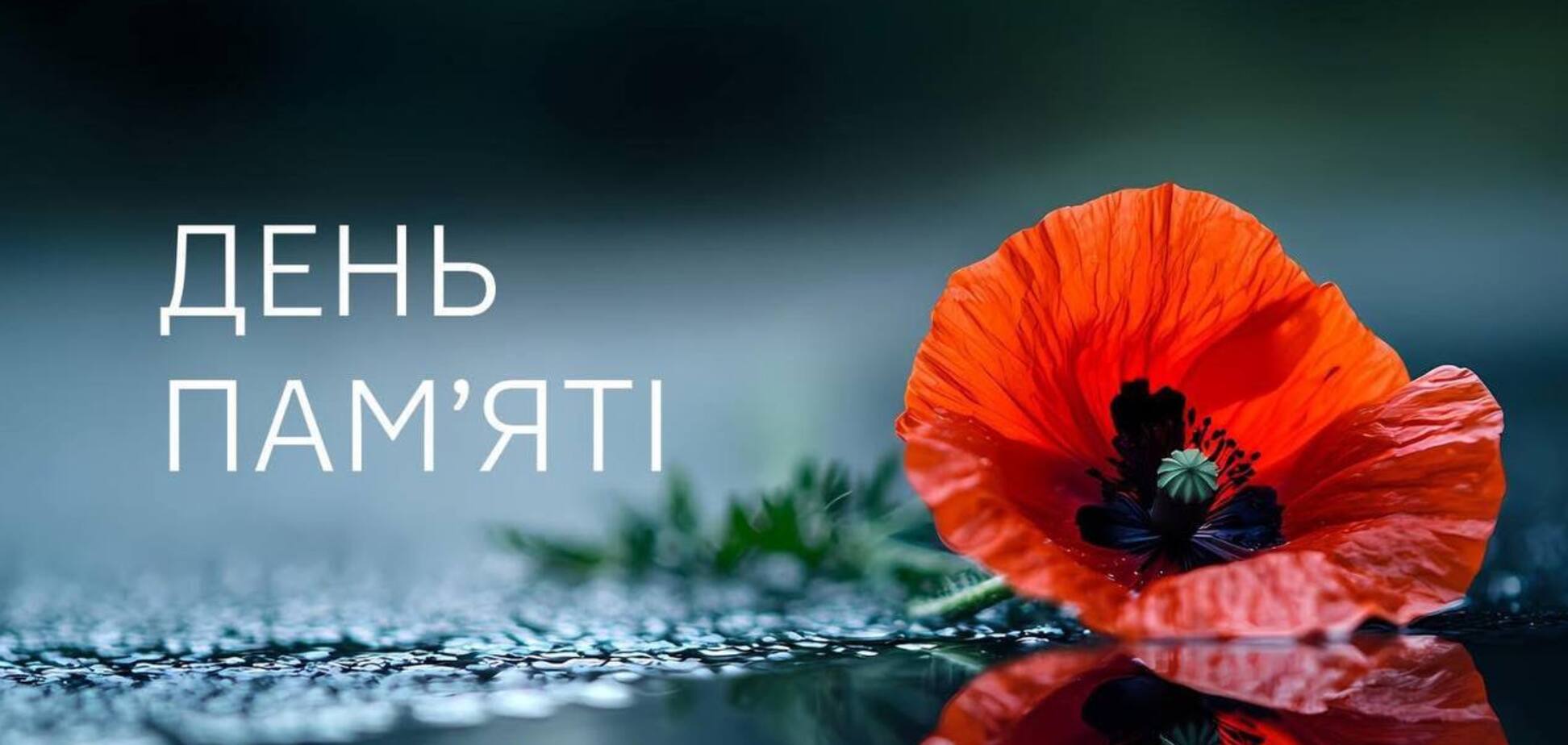 80 лет назад мы боролись с похожим злом: в Украине День победы над нацизмом отмечают в условиях российской агрессии. Видео