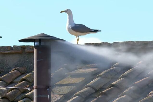Конклав в Ватикане избрал нового Папу Римского, над Сикстинской капеллой появился белый дым: названо его имя