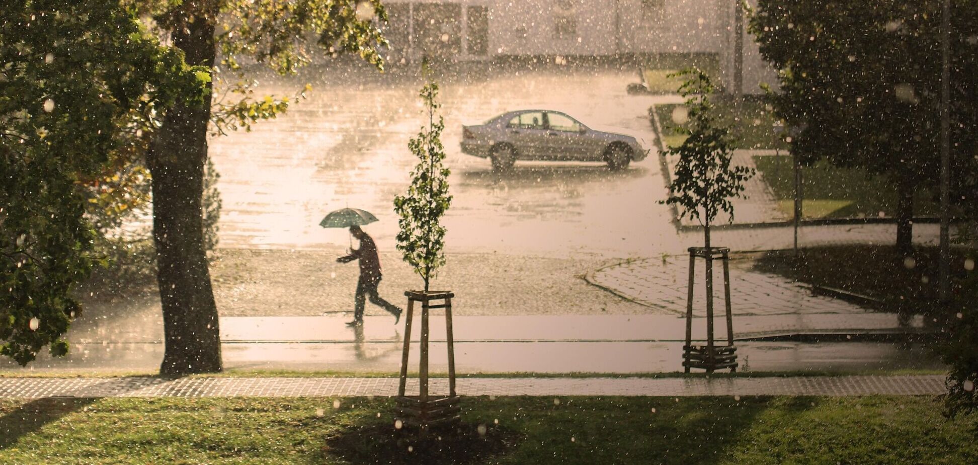 Невеликий дощ та до +14°С: детальний прогноз погоди по Київщині на 10 травня