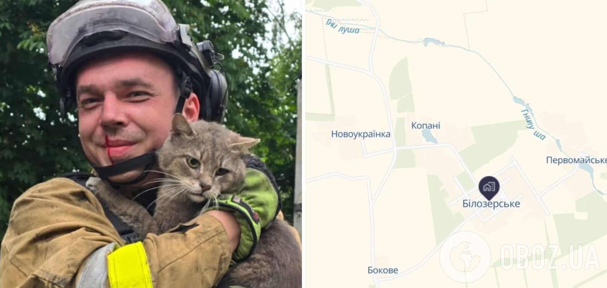 В Донецкой области спасли кота, который двое суток провел под завалами многоэтажки. Фото