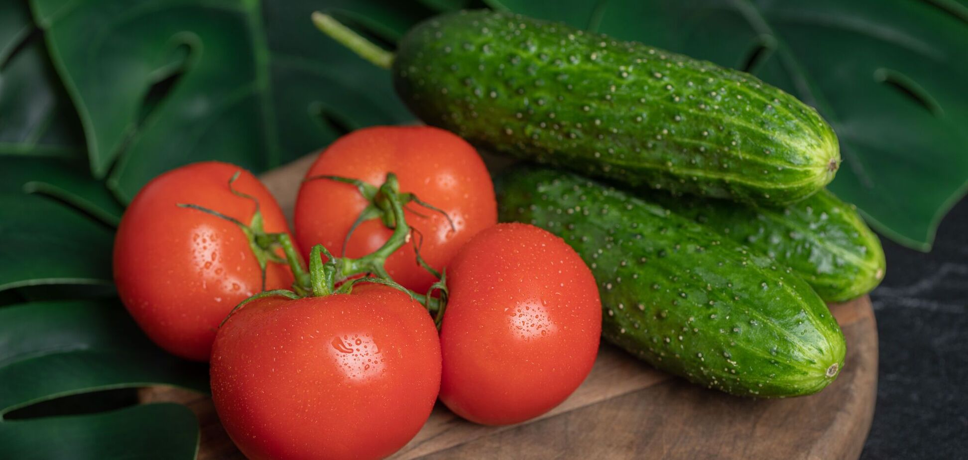 Стимулятор роста для огурцов и помидоров: удобрение для хорошего урожая