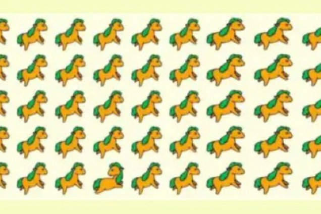 Який коник зайвий? Весела головоломка