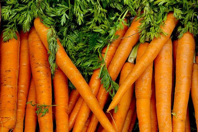 'Золотой' раствор сделает морковь крупной и сочной: как приготовить