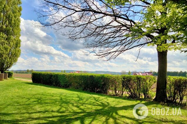 Коли cкінчиться похолодання і чи прийде спека найближчим часом: в Укргідрометцентрі прояснили ситуацію