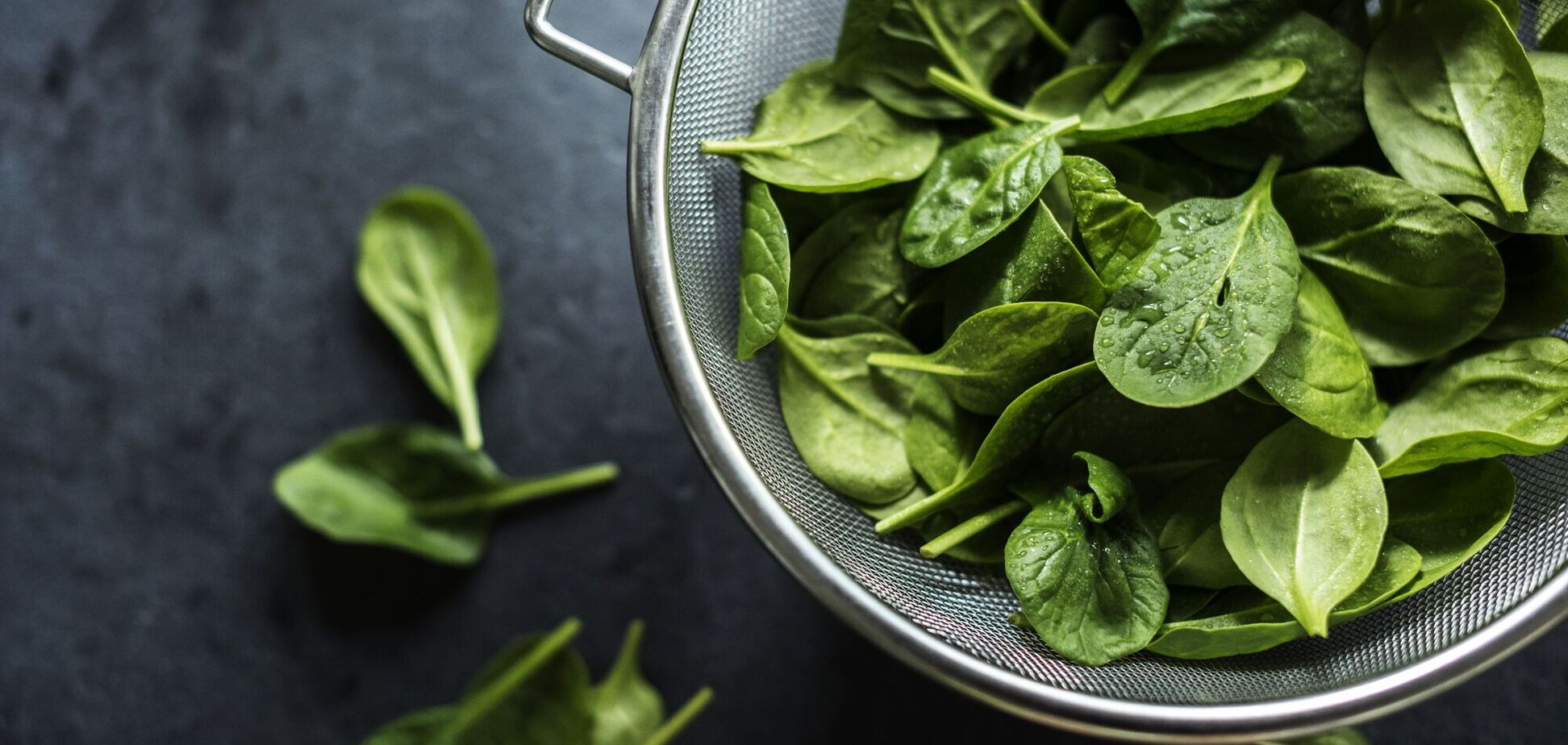 Как заготовить шпинат на зиму детям: для оладий, супов и котлет