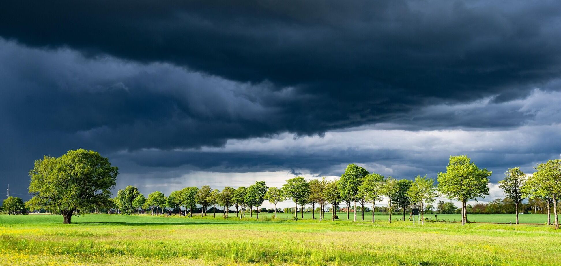 Грозы и штормовой ветер: часть Украины накроет непогода, синоптик сделала предупреждение. Карта