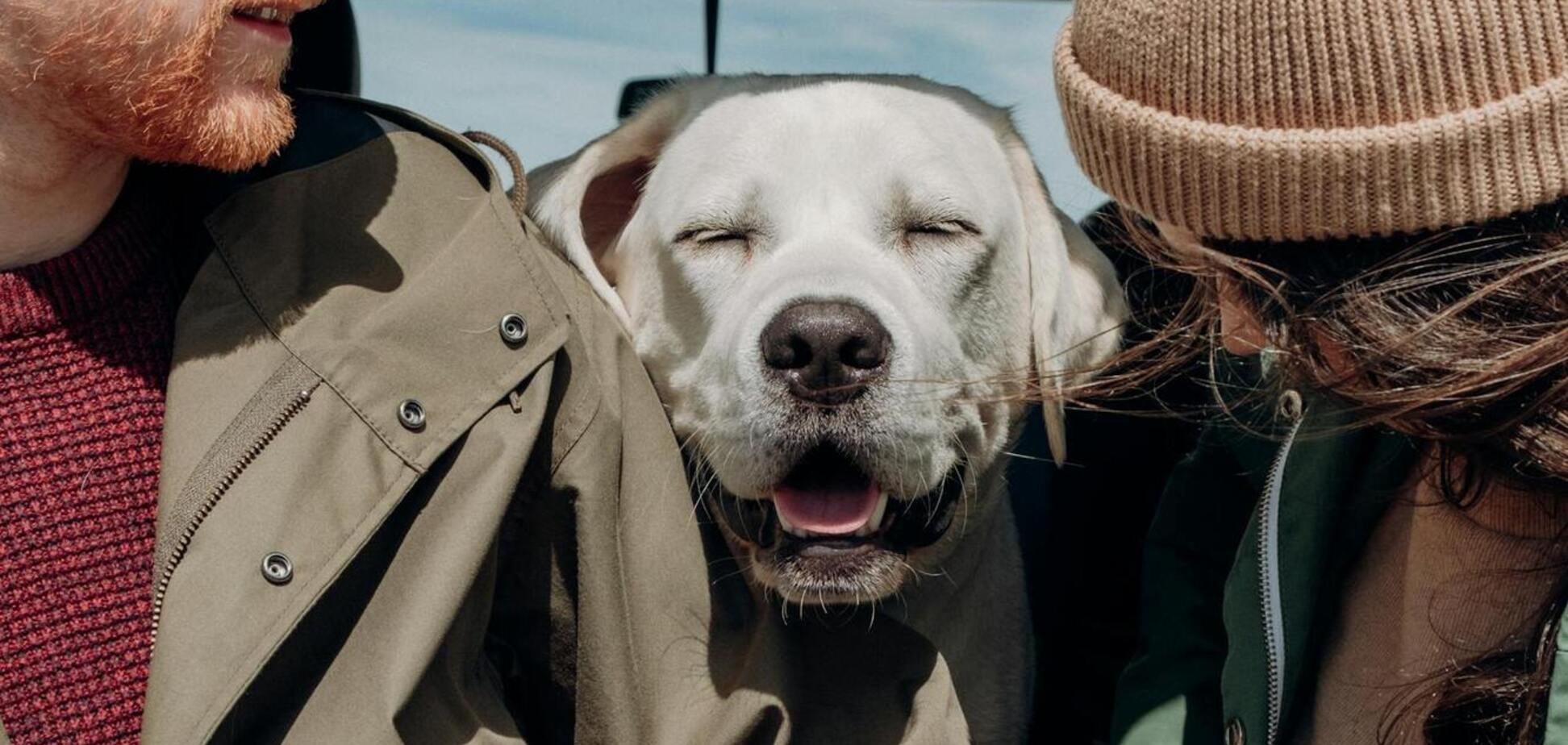 Куди поїхати у відпустку з собакою: найкращі місця у Європі