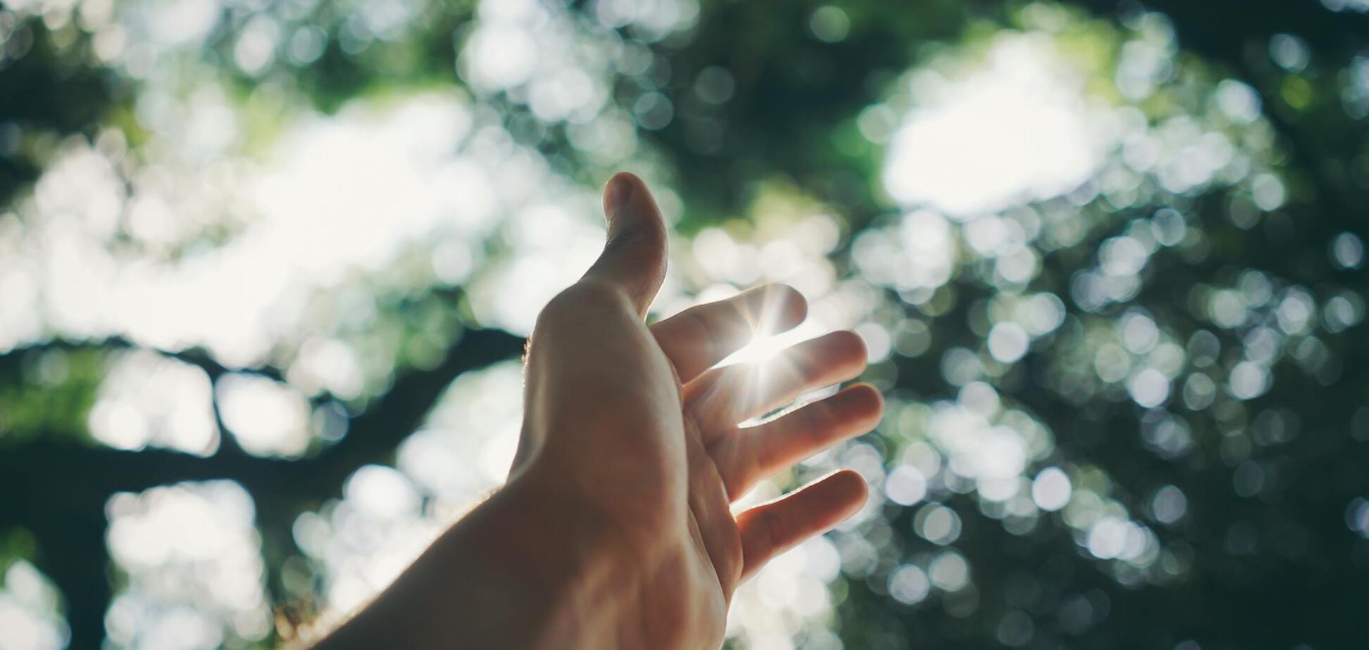 Что длина пальцев говорит о человеке: выводы ученых