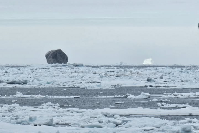 Айсберги могут быть черными: ученые объяснили аномалию
