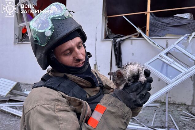 'Каждая жизнь важна': в Запорожье спасатели достали котенка из горящего здания, поврежденного в результате атаки РФ. Фото