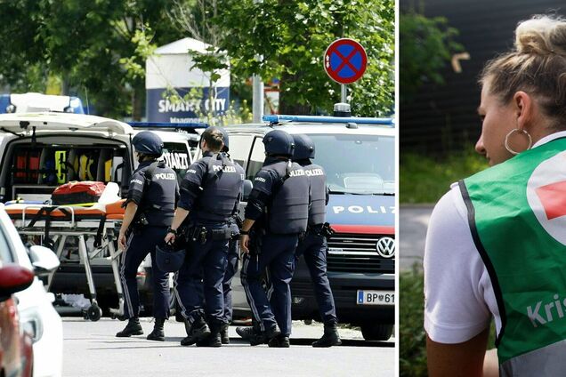 В Австрії обмежать володіння зброєю після стрілянини у школі: уряд готує жорсткі заходи