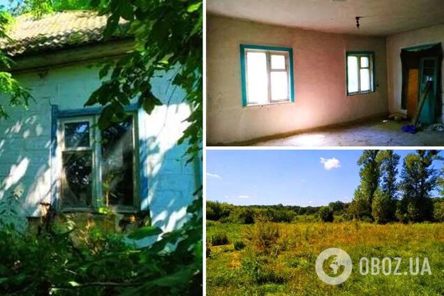 Дом с большим участком недалеко от города продается всего за $950: как выглядит