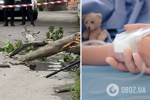 Ветка дерева упала на мальчика в Полтаве