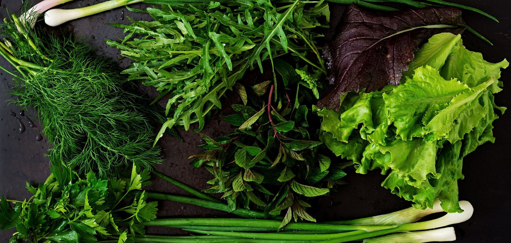 Как правильно хранить различные виды зелени: ваш салат будет всегда свежим и вкусным