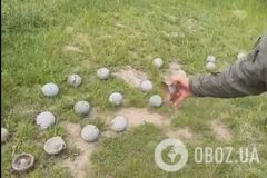 В Киеве на Нивках саперы обнаружили части кассетных боеприпасов. Видео