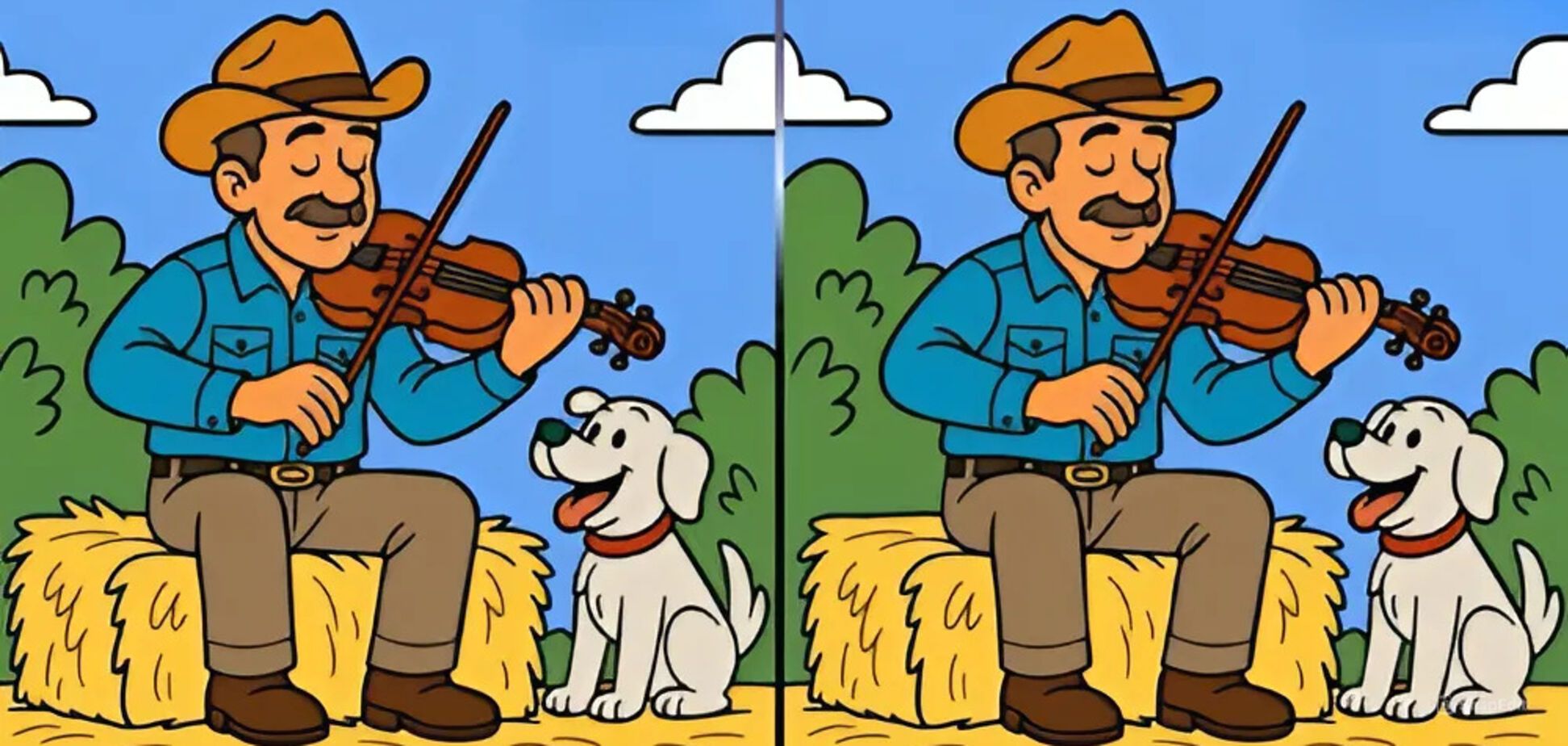 Найдите три отличия: хитрая головоломка