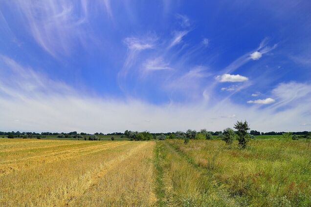 Украине из-за жары грозит пожарная опасность: синоптики дали неутешительный прогноз погоды на четверг