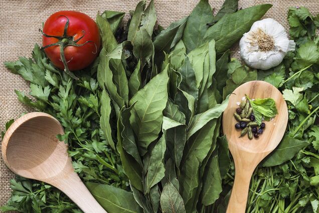 Будет несколько урожаев: какие травы и пряные растения стоит посеять в июне