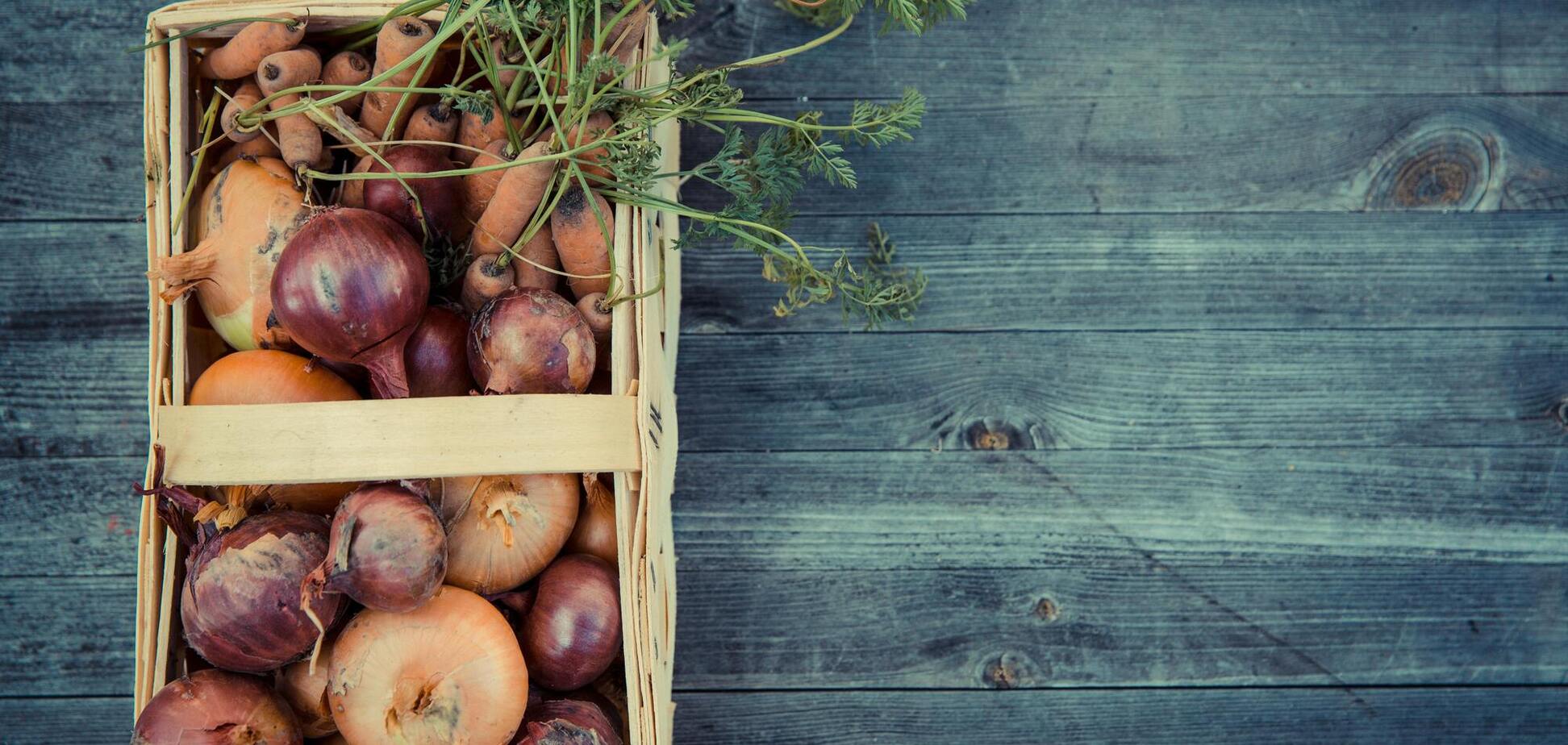 Как хранить лук, чтобы он оставался свежим более 8 месяцев: необычное решение