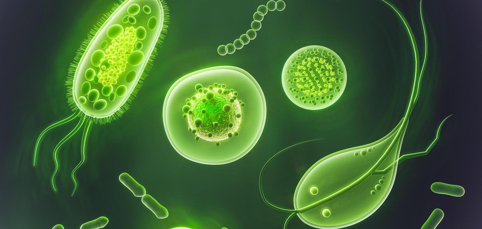 Будет что-то ужасное. Что произойдет на Земле, если исчезнут все микробы