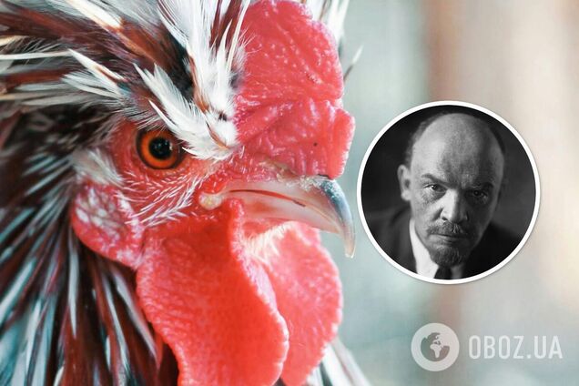 Навіщо в СРСР видаляли мозок у живих курей і досліджували Леніна