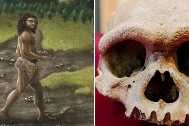 Science, phys.org, колаж OBOZ.UA